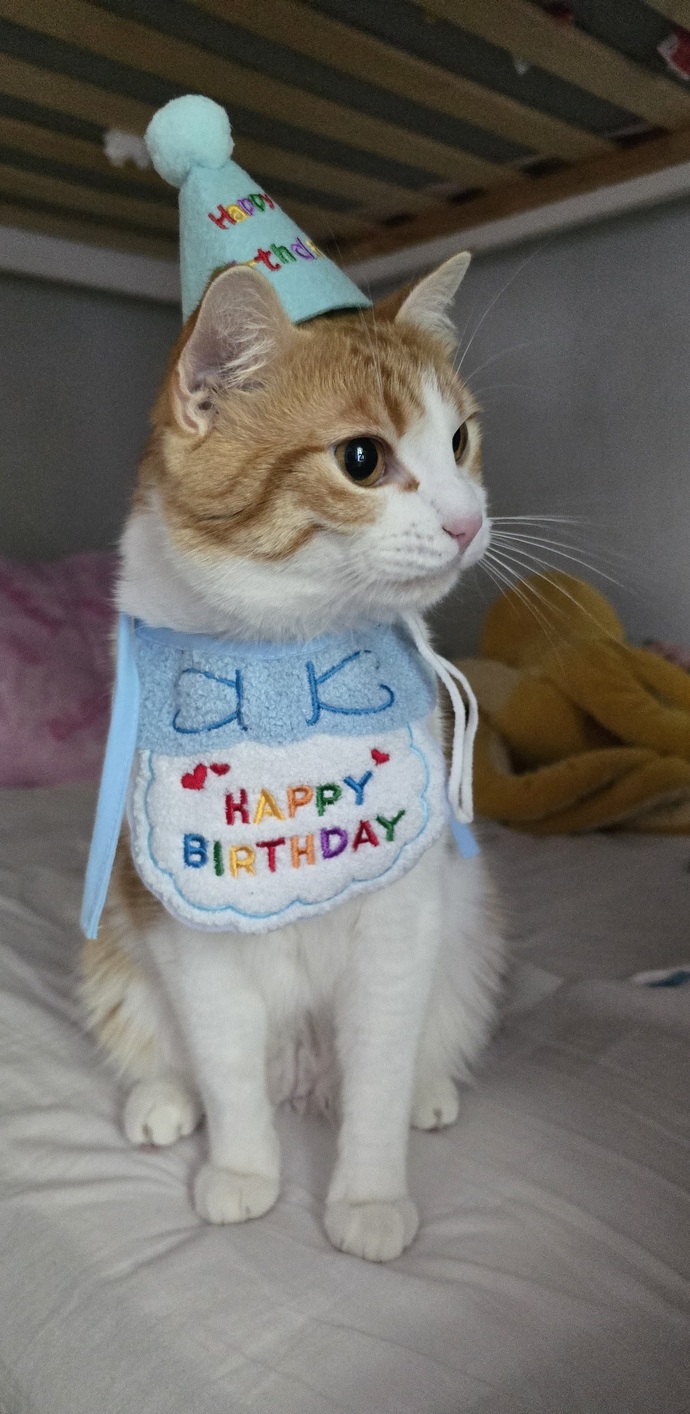 Bugün yaramazımın doğum günü 🎈🎈🎉🎊 bir tebriginizi alırım 😊?