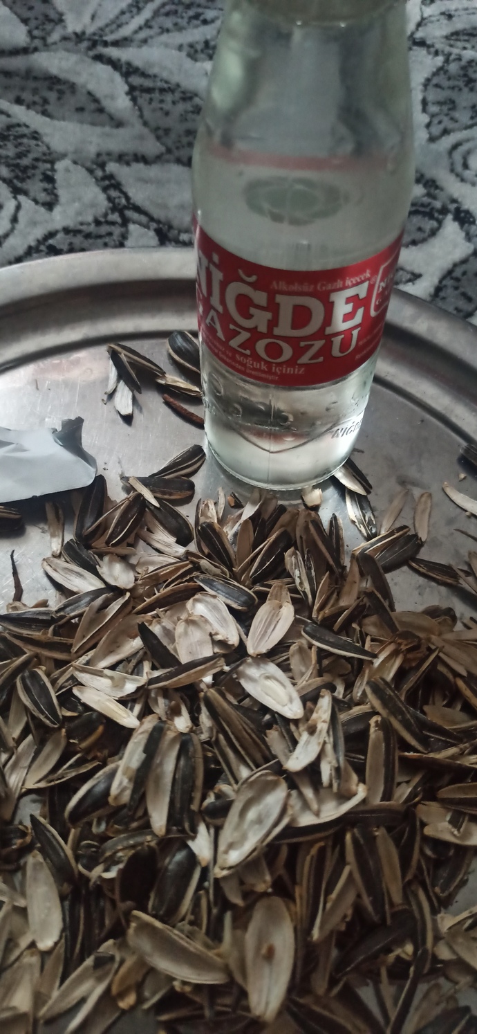 Çekirdek yemeyi sever misiniz?
