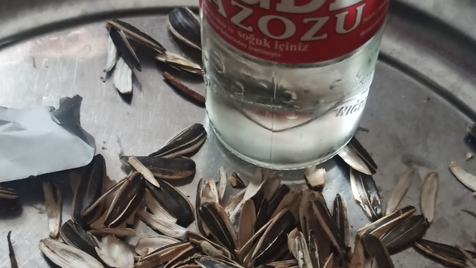 Çekirdek yemeyi sever misiniz?