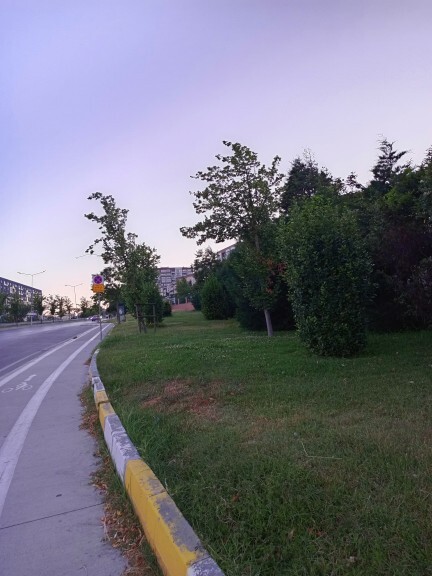 Yürüyüş yapmayı seviyor musunuz?