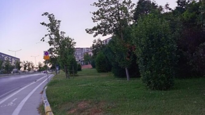 Yürüyüş yapmayı seviyor musunuz?