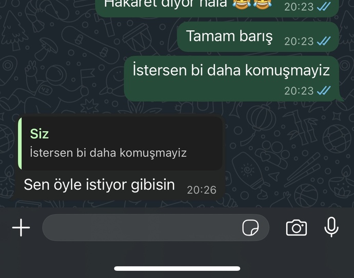 Sizce konuşmayi kesmeli miyim onunla?