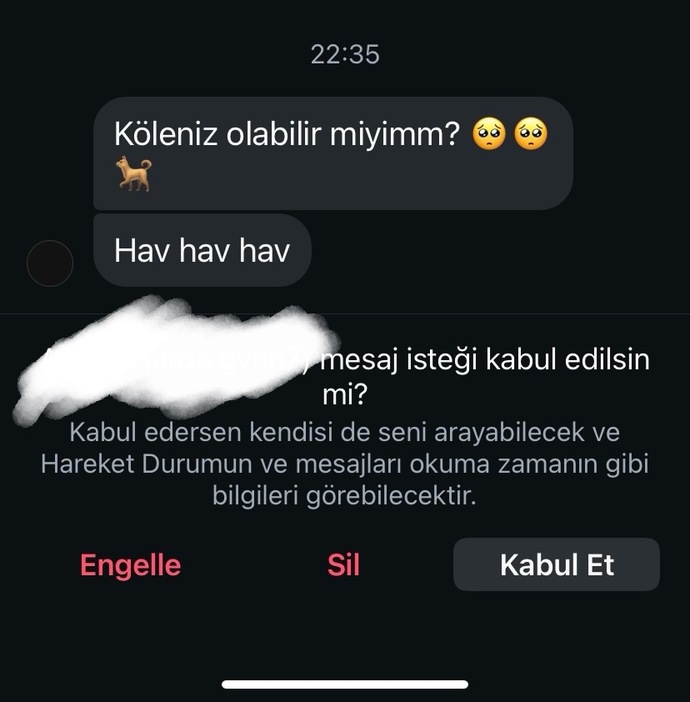 Böyle mesajlar almaya başladım?