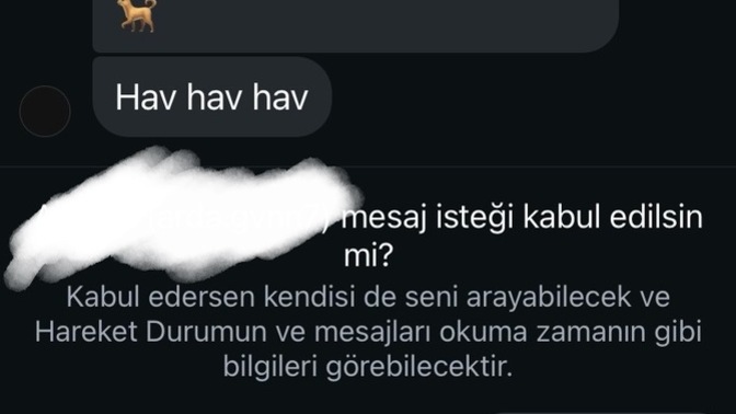Böyle mesajlar almaya başladım?