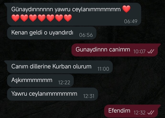 İyi yapmamış miyim?