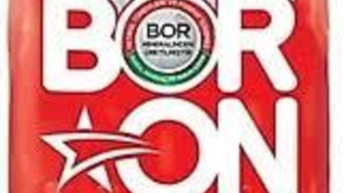 2025 en güzel yanı ne sizce?