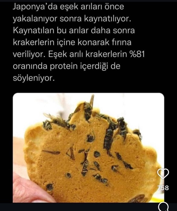 Eşşek arılı kraker yer misiniz?