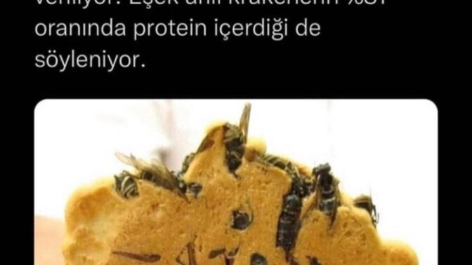 Eşşek arılı kraker yer misiniz?