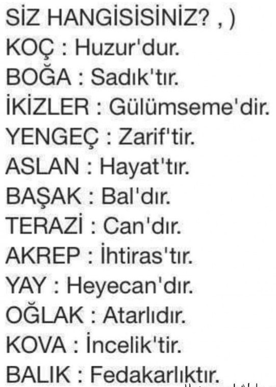 Burcunuza göre siz tam olarak ne oluyorsunuz 😀?