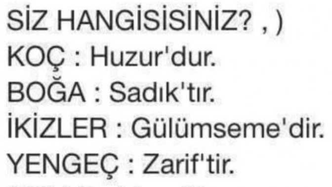 Burcunuza göre siz tam olarak ne oluyorsunuz 😀?