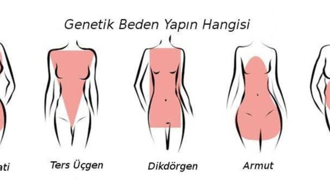 Vücut tipin hangisi?