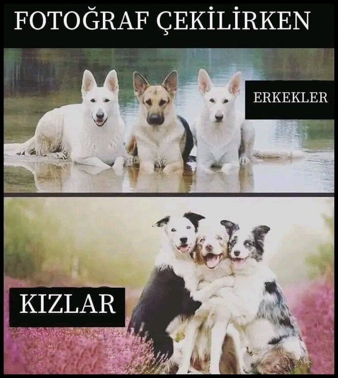 Kızlar niye şekilden şekile girer?