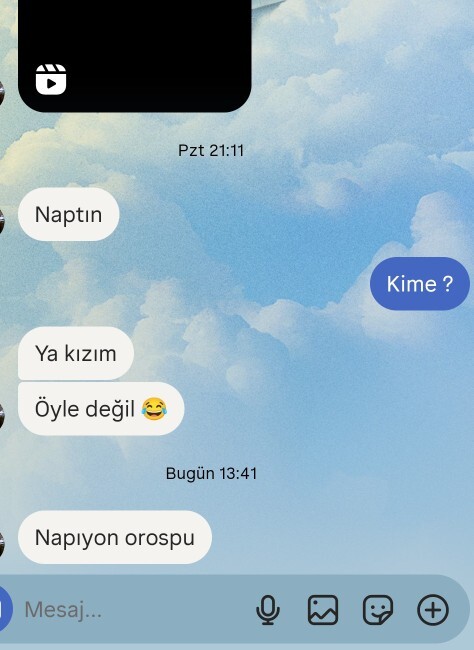 Böyle bi mesaj alsanız alınır mısınız?