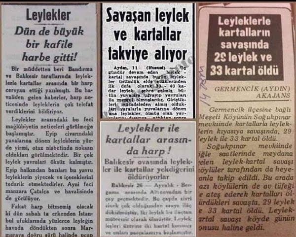 Türkiye de yıllar önce leyleklerin ve kartalların savaştığını duydunuz mu?