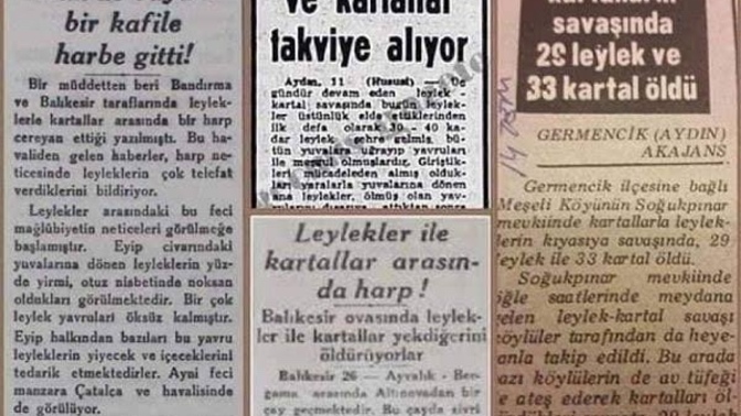 Türkiye de yıllar önce leyleklerin ve kartalların savaştığını duydunuz mu?