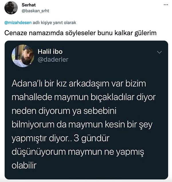 3 gündür düşünüyorum… Sizce bu maymun ne yapmış olabilir?