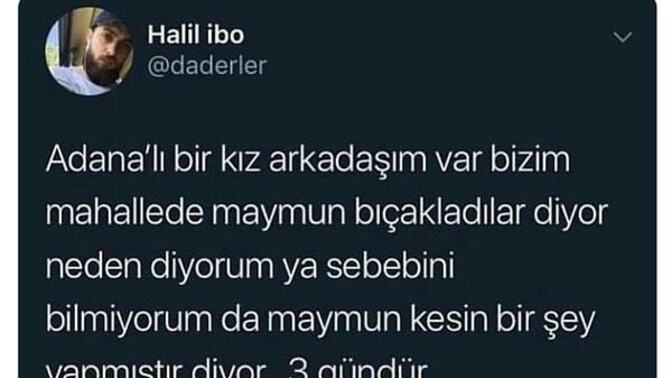 3 gündür düşünüyorum… Sizce bu maymun ne yapmış olabilir?