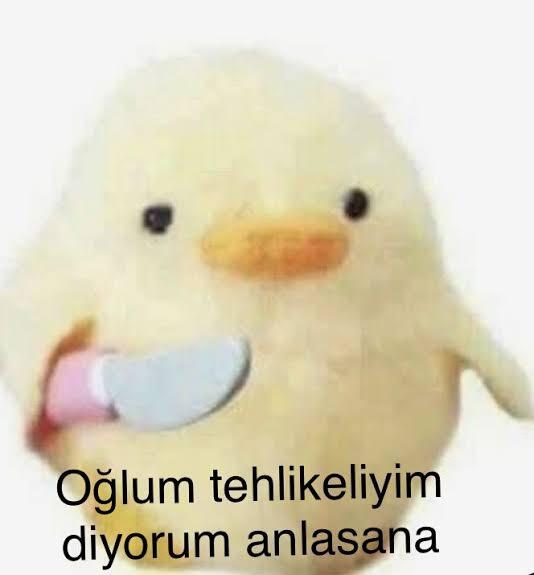 Flörtünüz size “sen benim baş belamsın” dese, ne cevabı hak eder?