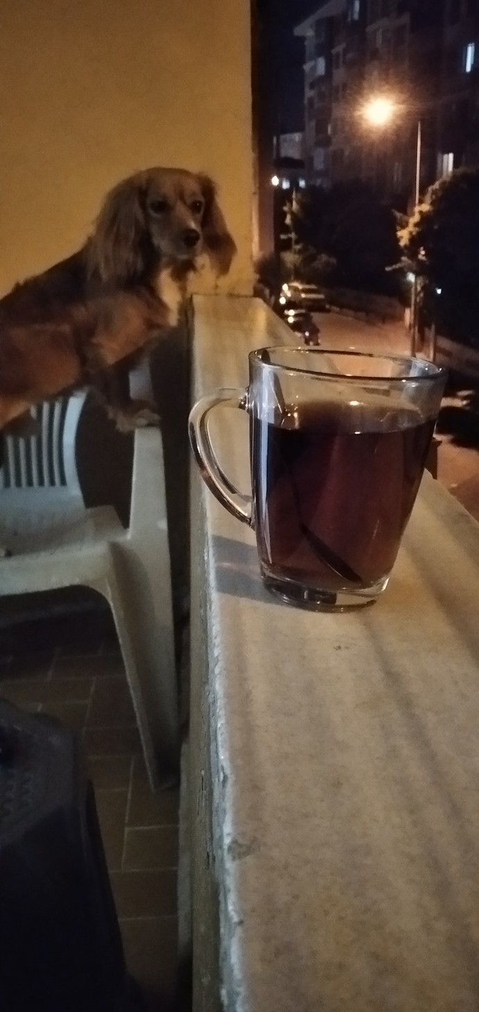Ben dokunamıyorum size bari , akşam yedikleriniz dokunur İnşallah 🙏😂?