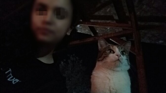 Kedinizin manyaklık oranı yüzde (%) kaç?