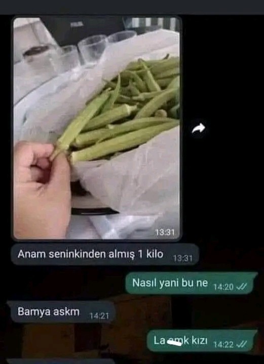 Bamya sever misiniz?