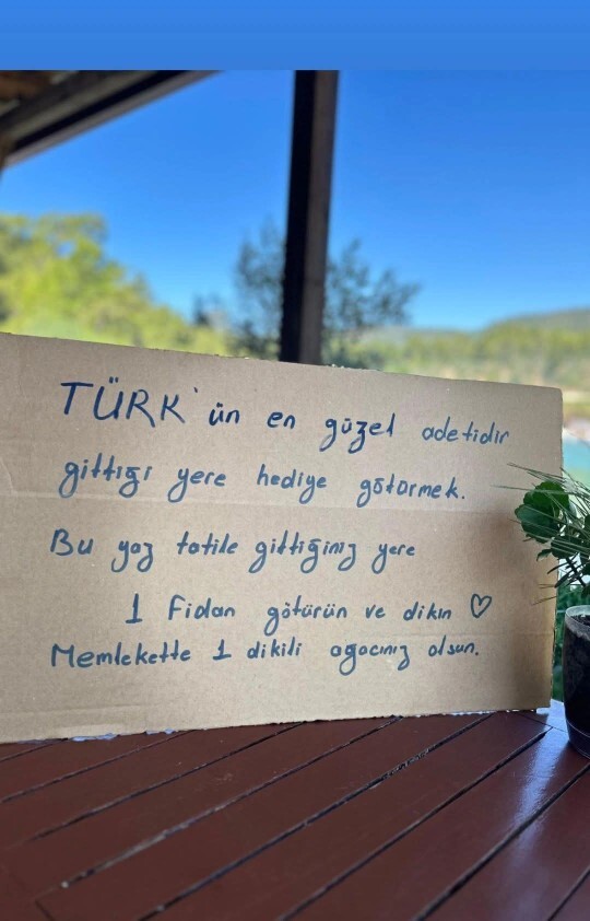 Hiç dikili ağacınız var mı?