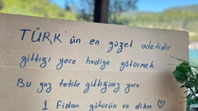 Hiç dikili ağacınız var mı?