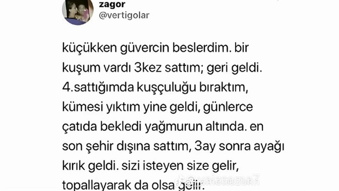 Bizi isteyen bize gelir mi?