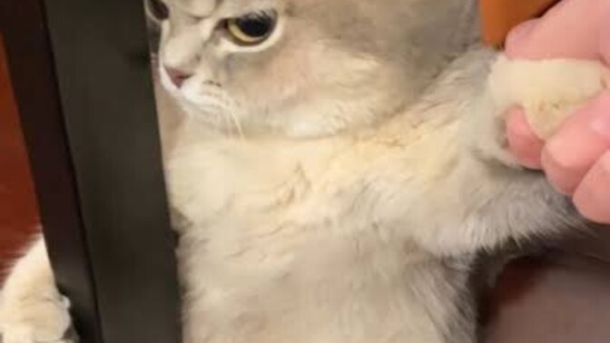 Gururun zırhını deldiniz mi hiç?
