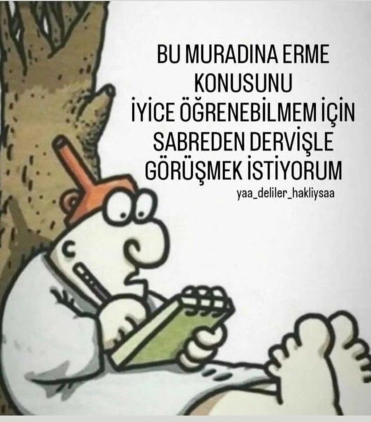 Muradınıza erdiniz mi?