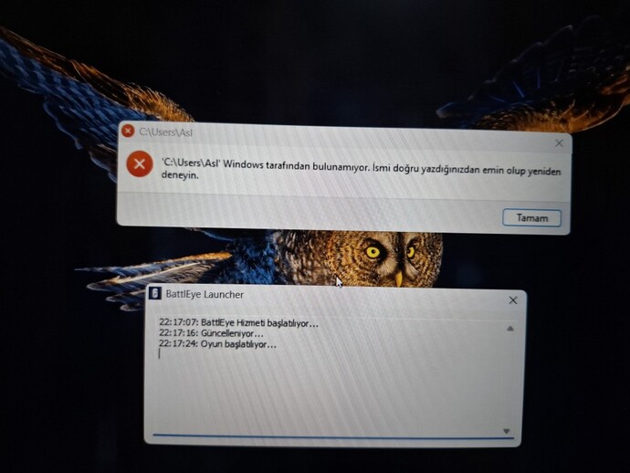 OYUN AÇMAYA ÇALIŞIRKEN HATA ALIYORUM BAKAR MISINIZ?