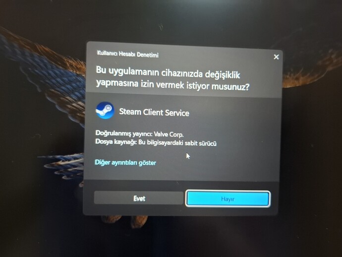 OYUN AÇMAYA ÇALIŞIRKEN HATA ALIYORUM BAKAR MISINIZ?