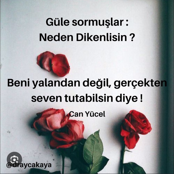 Hiç birini yalandan SEVER GIBI yaptınız mı 🙄?