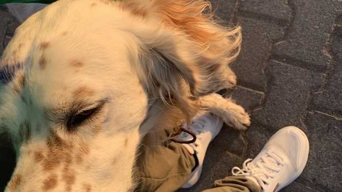 Nankörlük doğuştan mı gelir?
