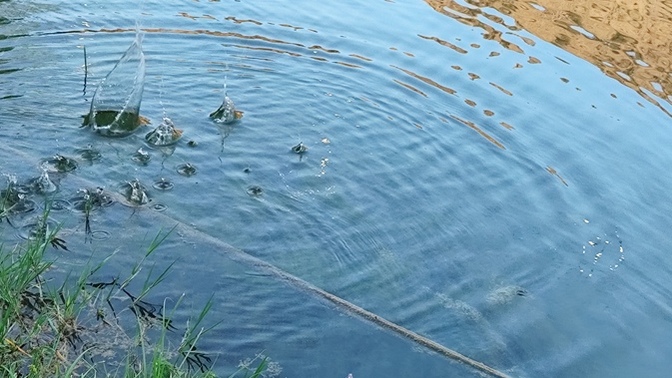 Dilek gölü buldum sizler için her kes dileğini yazsın sizin yerinize de taş atacam hadeee bekliyorummmm 🐢🫧🌊?