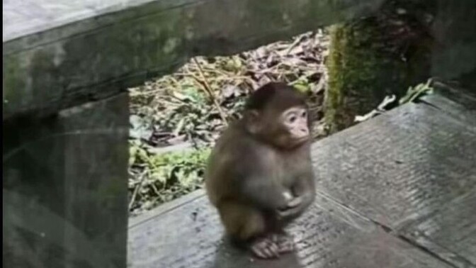 Hayat hep böyle sıkıcı mı yaaa bu nee?