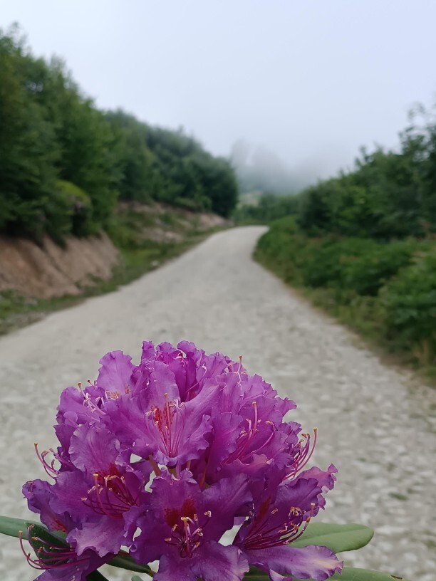 Günaydın, sıcaktan uyuyabildiniz mı?
