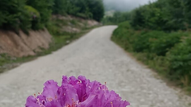 Günaydın, sıcaktan uyuyabildiniz mı?
