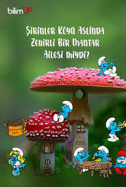 Halusinasyon görüyorum Şirin Anne hdhdhdbdhhdhdhdbbsbbdbd
