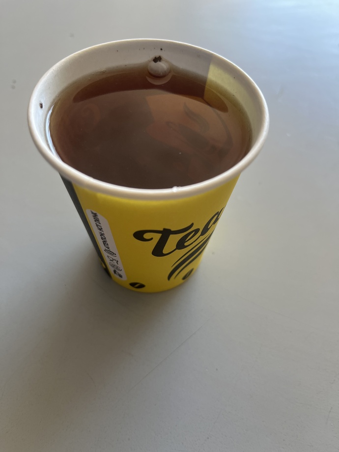 Karton bardakta cay içmek kekoluk mudur 😬?