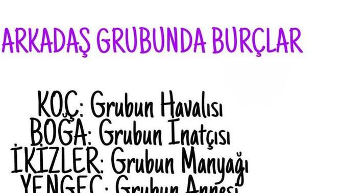 Burcunuza göre siz arkadaş grubunun neyisiniz?