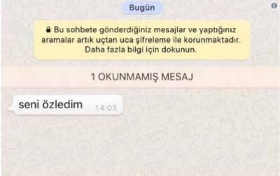 Şu an eski sevgilin mesaj atsa, nasıl bir ruh haline girersin?