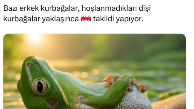Hangi durumlarda ölü taklidi yaparsınız?