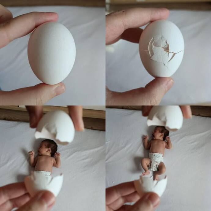 🐣