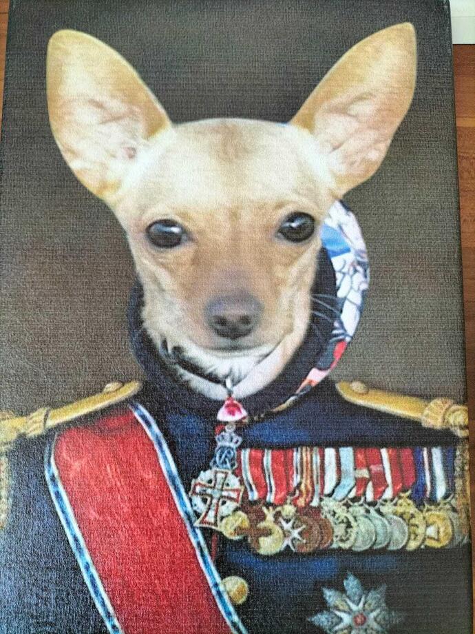 En son pişman olduğunuz alışverişiniz neydi?