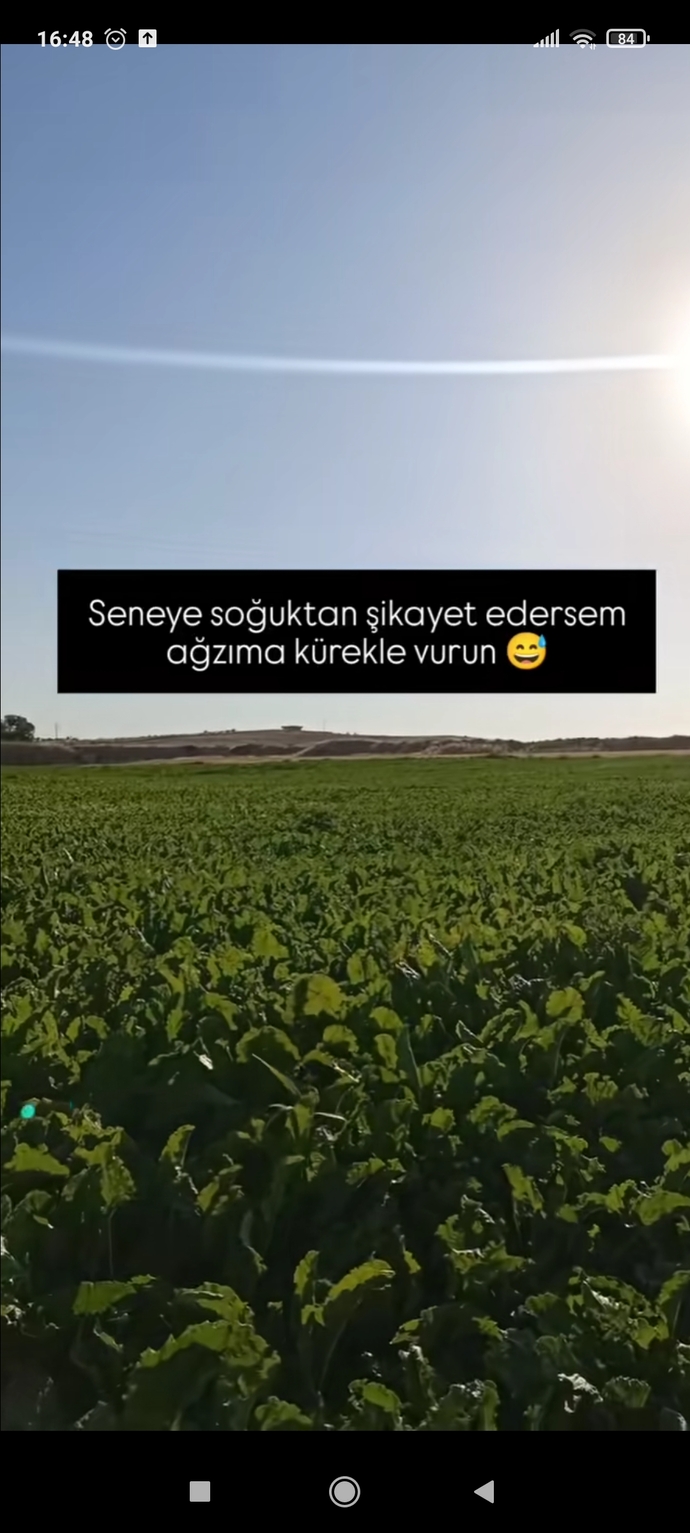 🙊🙊🙊🙊