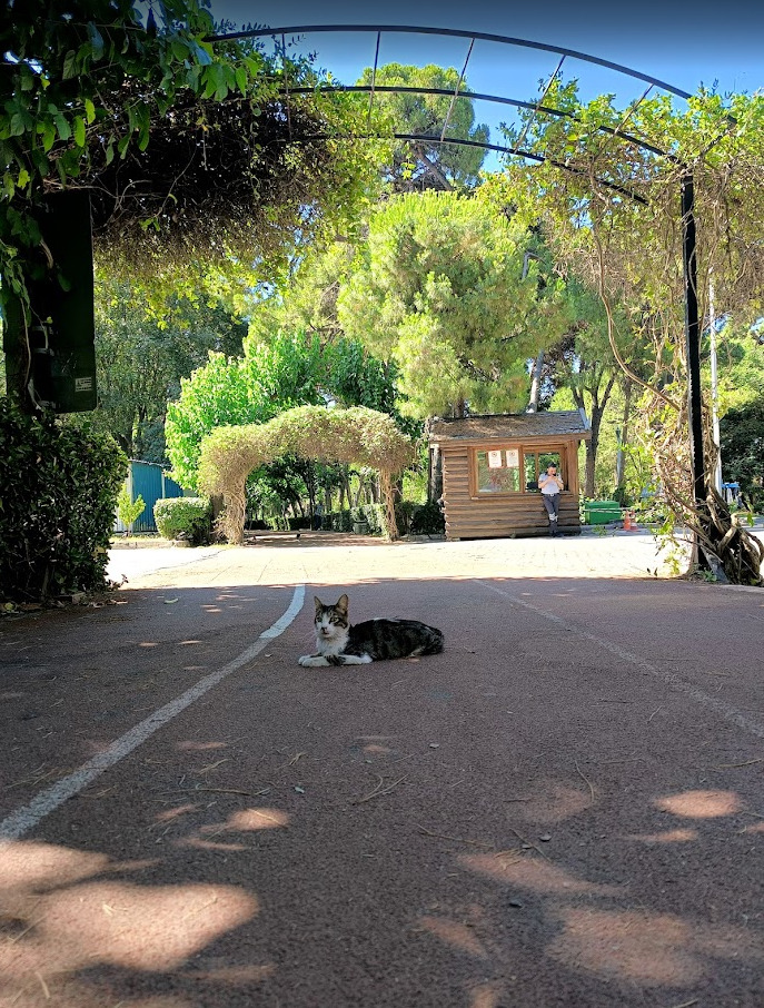 Koşu mu, yürüyüş mü?