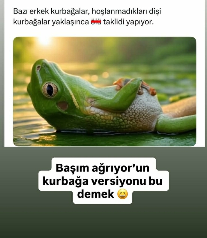 Sen hoşlanmadığın insanı görünce ne taklidi yaparak kurtuluyorsun?