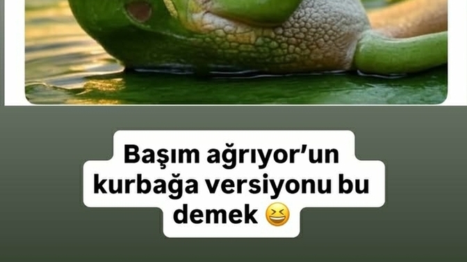 Sen hoşlanmadığın insanı görünce ne taklidi yaparak kurtuluyorsun?