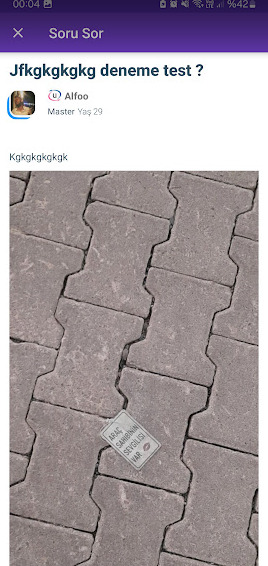 Soru sormasammi sizce?